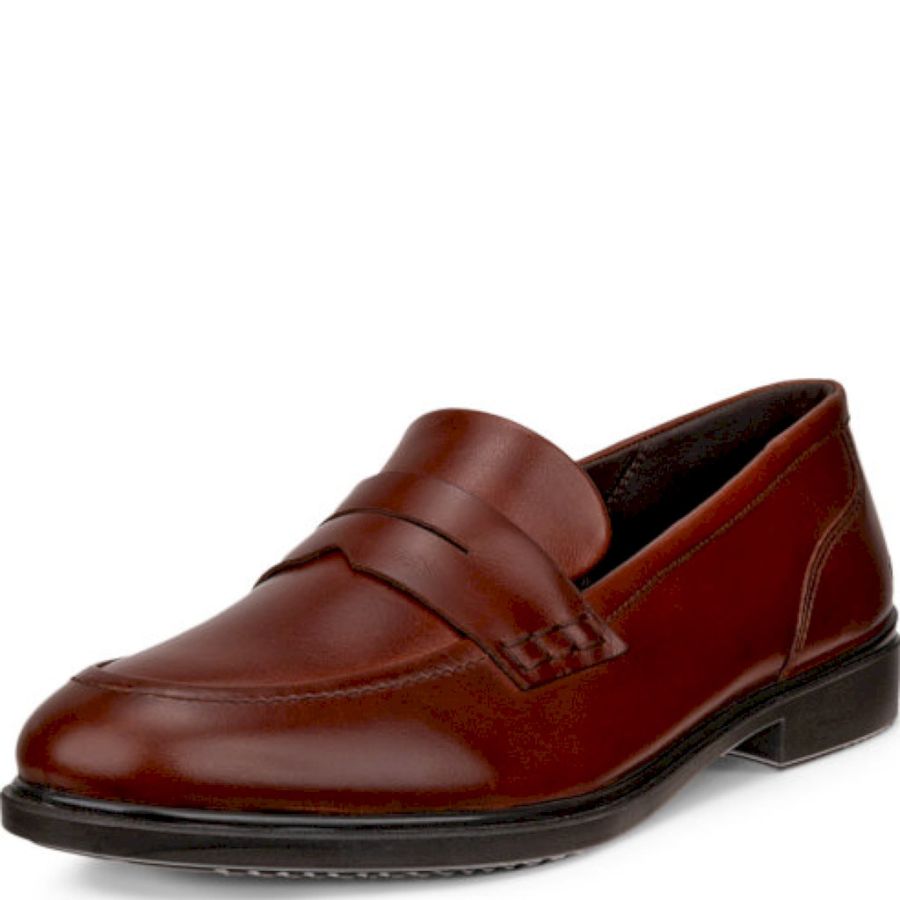 Loafers ECCO. ECCO DRESS CLASSIC 15