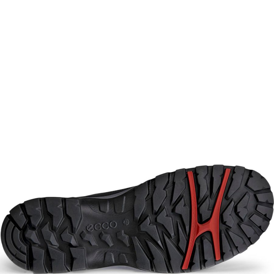 Promenadskor ECCO. ECCO XPEDITION III M