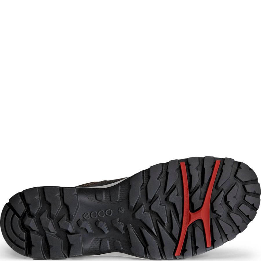 Promenadskor ECCO. ECCO XPEDITION III M