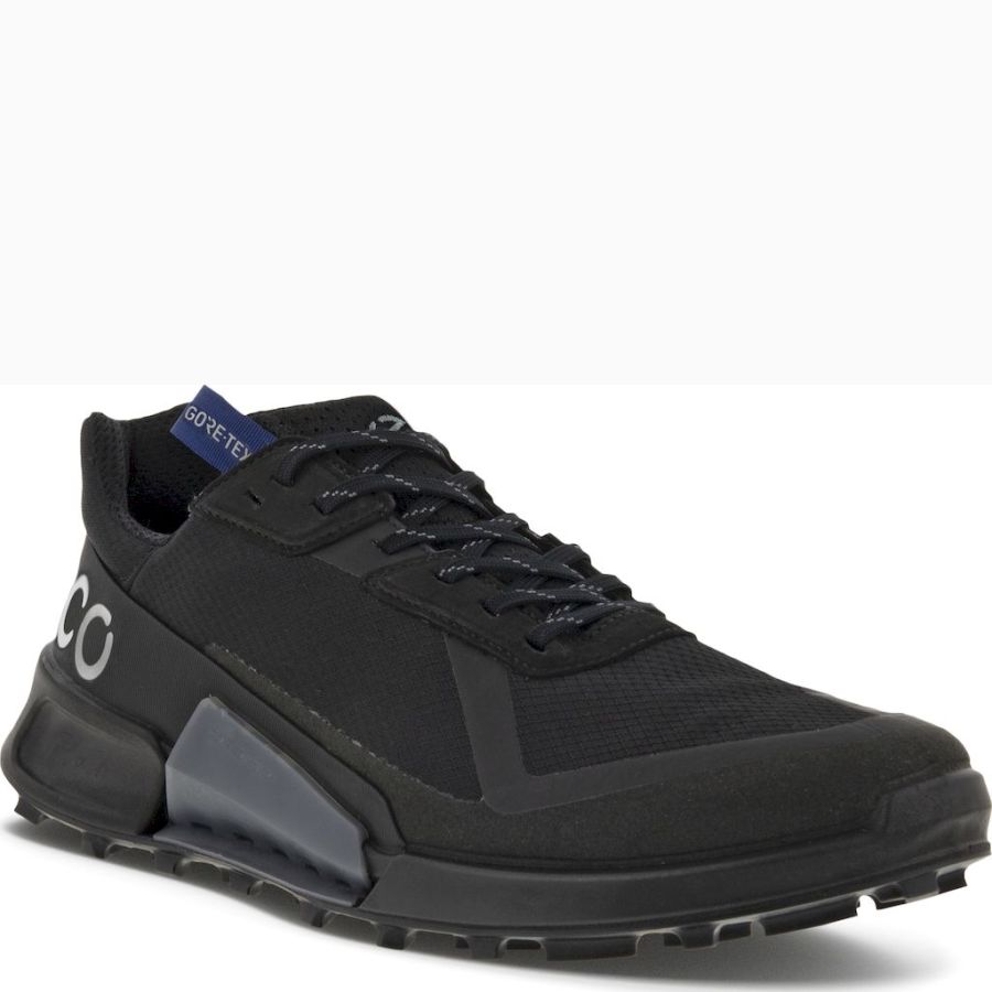 Sneakers ECCO. ECCO BIOM 2.1 X CTRY M LOW GTX