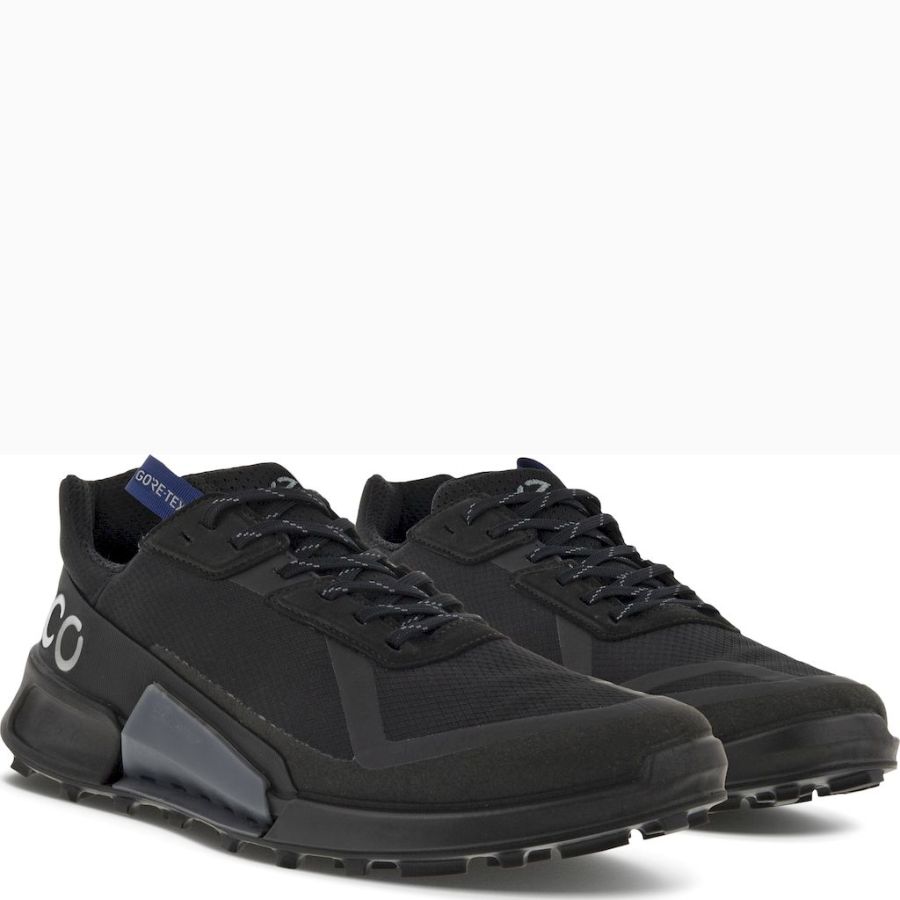 Sneakers ECCO. ECCO BIOM 2.1 X CTRY M LOW GTX