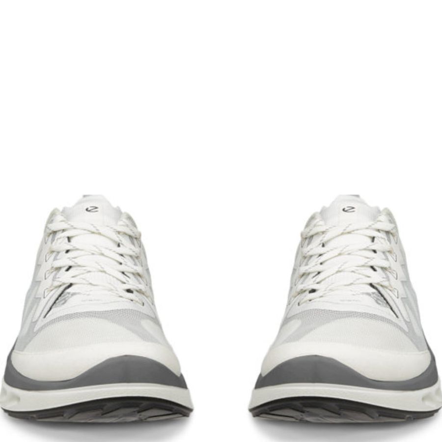 Sneakers ECCO. ECCO BIOM 720 M