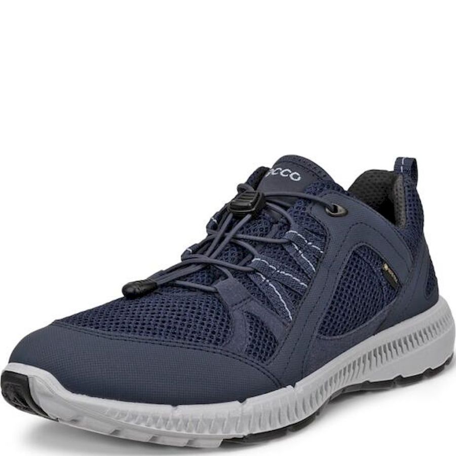 Sneakers ECCO. ECCO TERRACRUISE II W GTX TEX