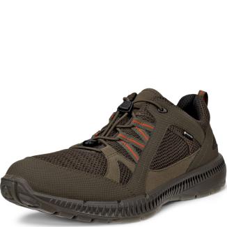 Sneakers ECCO. ECCO TERRACRUISE II M